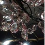 IQ8061  PLUM BLOSSOM