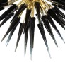 IQ84230 MODERN BRASS STARBURST CHANDELIER