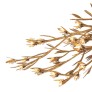 IQ8486 LAUREL CHANDELIER