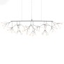 QZ2121 HERACLEUM