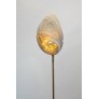 IQ2220 COQUILLAGE