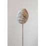 IQ2220 COQUILLAGE