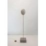 IQ2220 COQUILLAGE