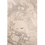IQ2211 JUPITER LAMPE
