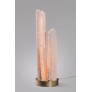 IQ2219 CORAIL