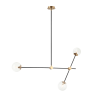 IQ2165 COSMIC