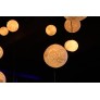 IQ2208  LUNE