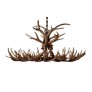 IQ7771  LAVY ANTLER
