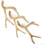 IQ7771  LAVY ANTLER