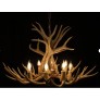 IQ7771  LAVY ANTLER
