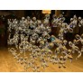 WM2170 BUTTERFLIES