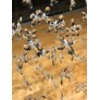 WM2170 BUTTERFLIES