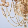 WM177 GROTTO SHELL