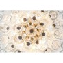 QZ6690 LARGE ZUCCHERI