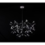 AM1705 HERACLEUM