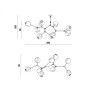 DV5611 Branching Bubbles