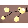 DV5611 Branching Bubbles