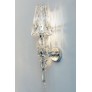AM8827 LULA SCONCES