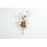 KA1947 Foret Sconce