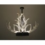 KA1800 LUCITE ANTLERS