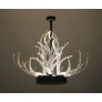 KA1800 LUCITE ANTLERS