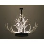 KA1800 LUCITE ANTLERS
