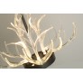 KA1800 LUCITE ANTLERS