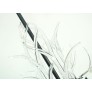KA1800 LUCITE ANTLERS