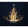 KA1800 LUCITE ANTLERS