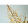 KA1800 LUCITE ANTLERS