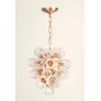 AM962850  DAISY