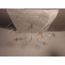 JR2039 TRAPEZI